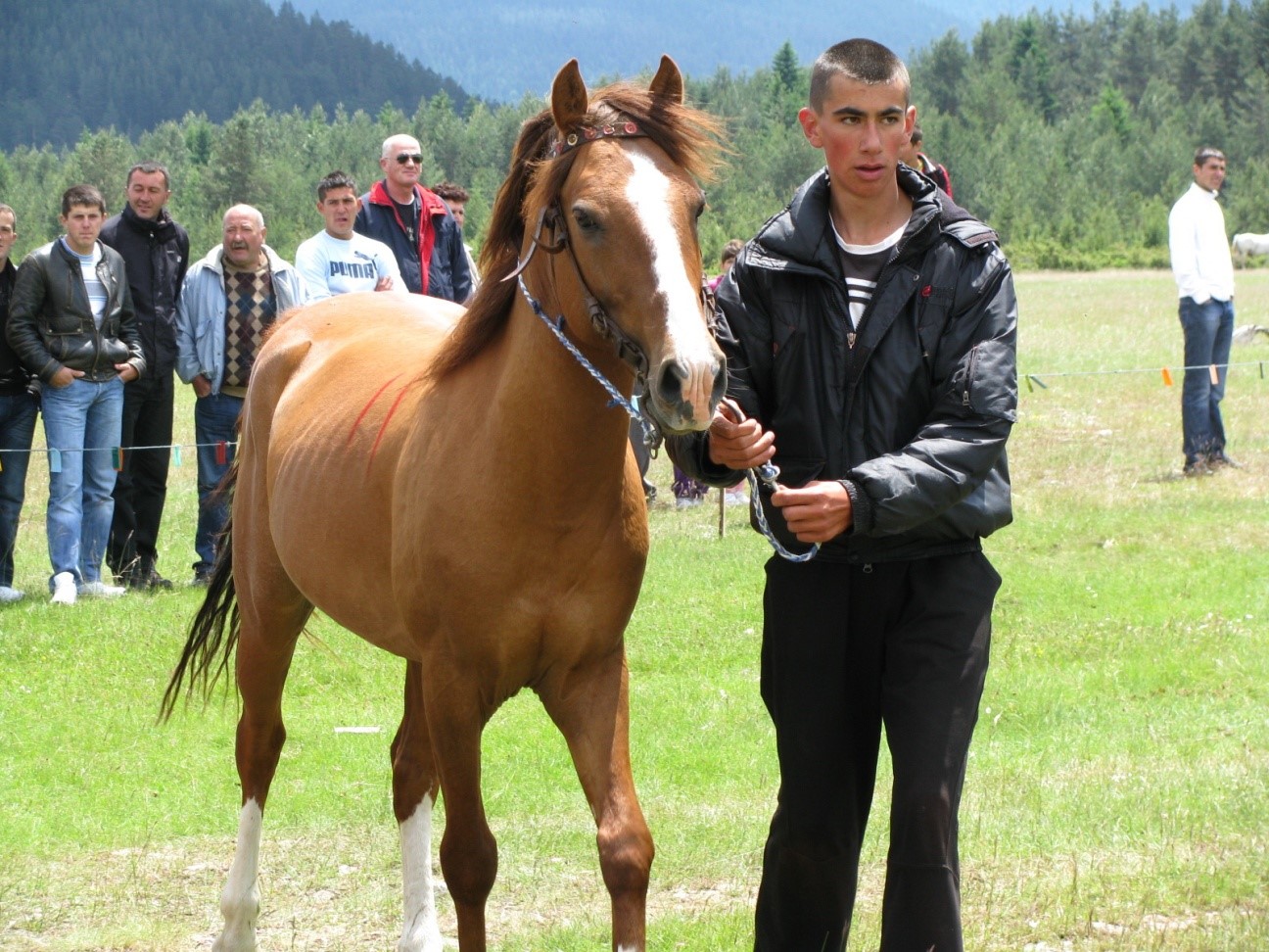 ODRŽANA TRADICIONALNA SMOTRA KONJA NA NJEGOVUĐI 2024