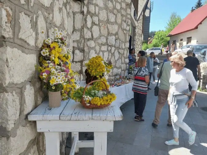 Dani planinskog cvijeća 2024